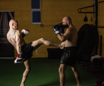 Combat Sports
